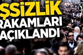 İşsizlik Rakamları