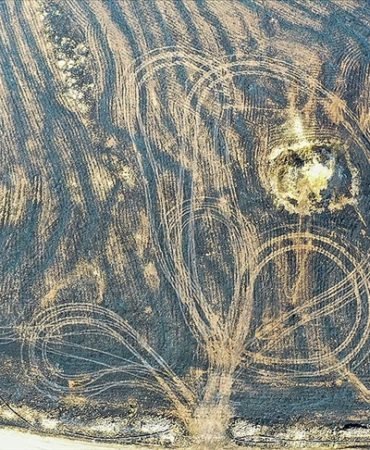 Diyarbakır Anız Yangını