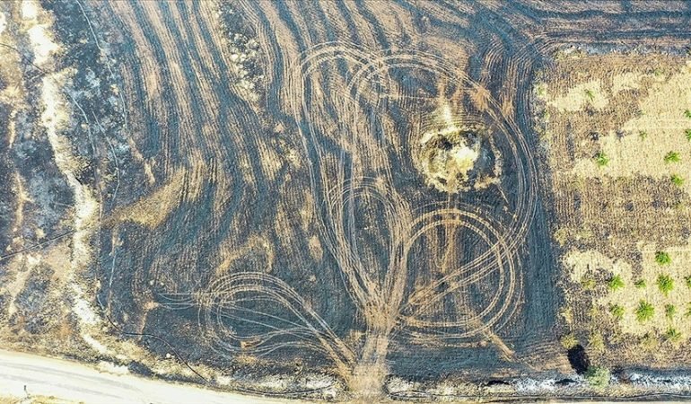 Diyarbakır Anız Yangını