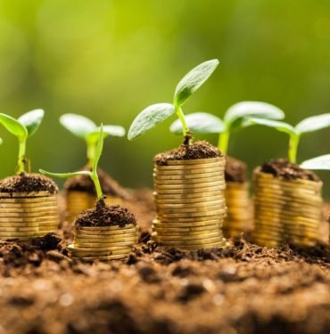 finansta-yesil-seferberlik