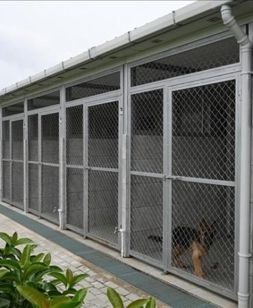 karmod sokak hayvanları projesi