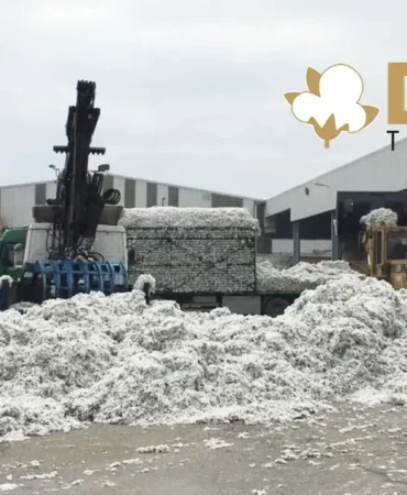 dct-trading-dis-ticaret