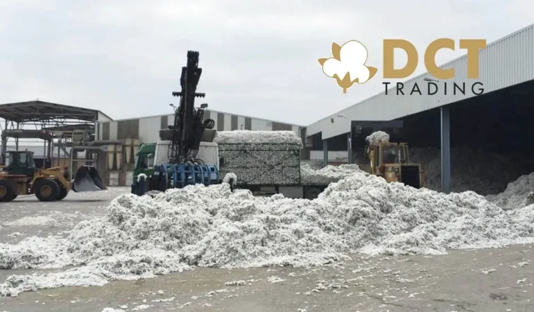 dct-trading-dis-ticaret