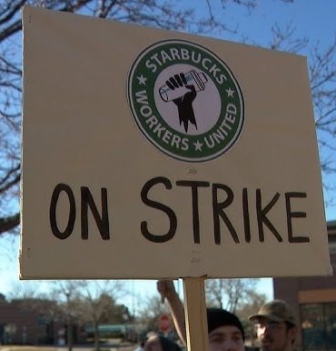 Starbucks Grev