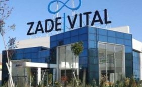 Helvacizade-grubu