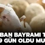 kurban-bayrami-tatili-kac-gun-olacak-bakan-acikladi
