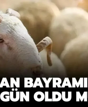 kurban-bayrami-tatili-kac-gun-olacak-bakan-acikladi