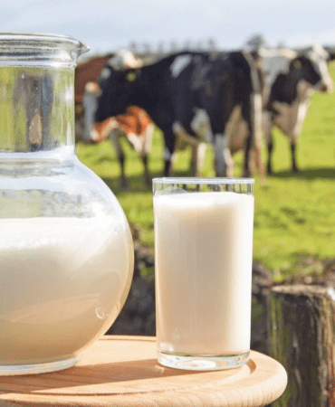 2025-Sut-Raporu-Toplama-Dustu-Ayranda-Cift-Hane-Artis-featured