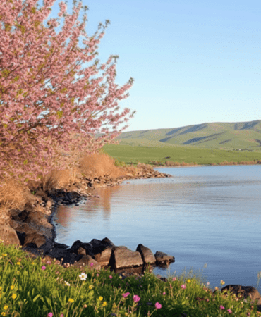 Baharin-Mujdecisi-Ikinci-Cemre-Suya-Dustu-featured