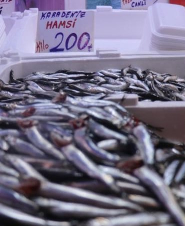 Hamsi-Geri-Dondu-Tezgahlarda-Bolluk-Fiyatlara-Yansidi-featured