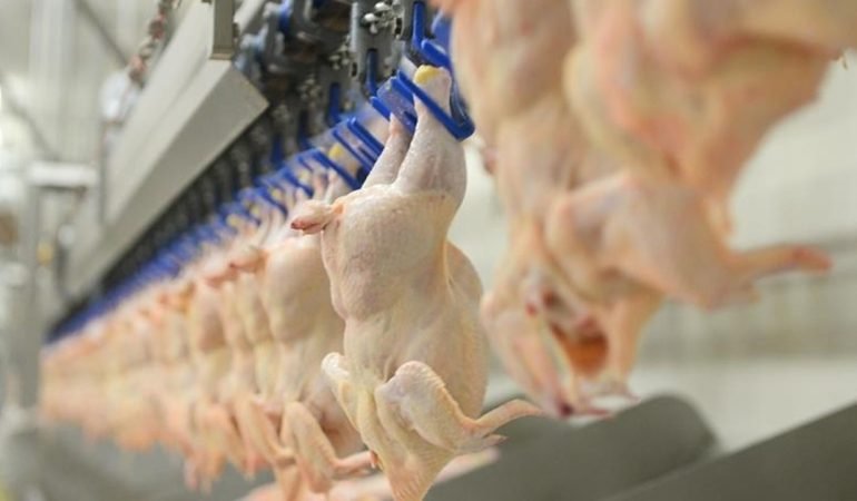 Ramazan-Oncesi-Fiyat-Artisina-Mudahale-Tavuk-Ihracati-Durdu-featured