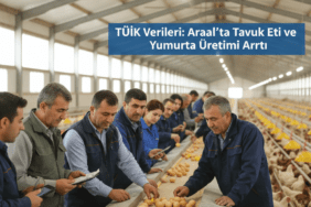 TUIK-Verileri-Aralikta-Tavuk-Eti-ve-Yumurta-Uretimi-Artti-gemini