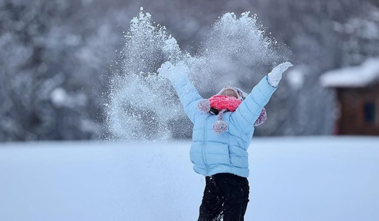 Van-Caldiran8217da-okullara-kar-tatili-11-Subat-20268217da-egitime-ara-featured