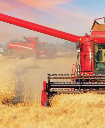 Ali-Kirali-Tarimsal-Uretimde-Girdi-Destegi-Fiyatlari-Dengeler-featured