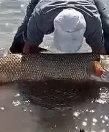 Av-Yasagina-Saatler-Kala-Dev-Balik-Surprizi-Iki-Kisi-Zor-Tasidi-featured