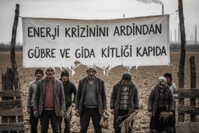 Enerji-Krizinin-Ardindan-Gubre-ve-Gida-Kitligi-Kapida-gemini