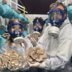 Hobiyle-Basladi-Dev-Tesis-Kurdu-Gunde-1-Ton-Mantar-Hasadi-featured