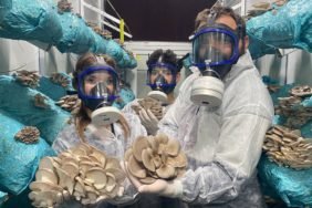 Hobiyle-Basladi-Dev-Tesis-Kurdu-Gunde-1-Ton-Mantar-Hasadi-featured