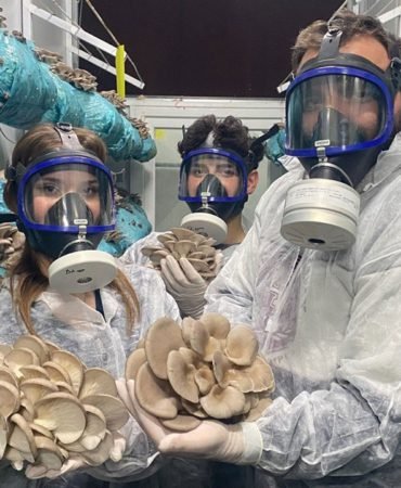 Hobiyle-Basladi-Dev-Tesis-Kurdu-Gunde-1-Ton-Mantar-Hasadi-featured