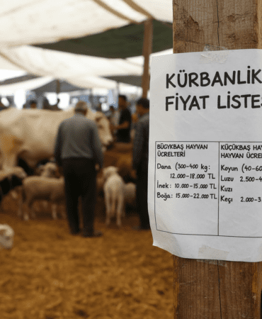 Kurbanlik-Fiyat-Listesi-Buyukbas-ve-Kucukbas-Hayvan-Ucretleri-gemini