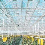 Modern-seracilikta-2030-hedefi-35-bin-dekar-uretim-alani-featured