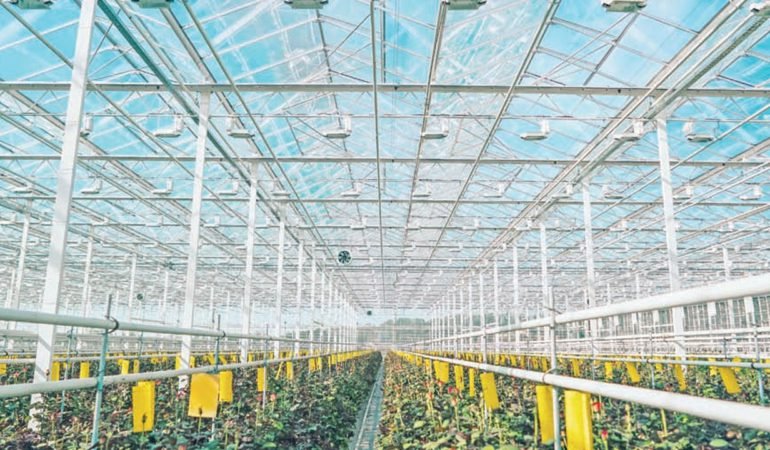 Modern-seracilikta-2030-hedefi-35-bin-dekar-uretim-alani-featured