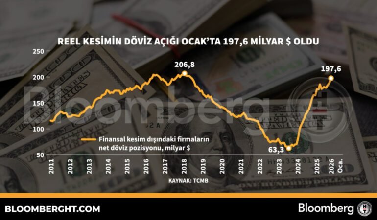 Reel-Sektorun-Ocak-Ayi-Doviz-Acigi-1976-Milyar-Dolar-Seviyesinde-featured