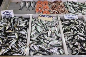 Su-Urunleri-Ihracatinda-Birim-Fiyat-Rekoru-Yuzde-204-Artis-featured