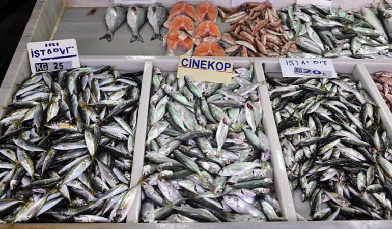 Su Ürünleri İhracatında Birim Fiyat Rekoru: Yüzde 20,4 Artış 1 Su-Urunleri-Ihracatinda-Birim-Fiyat-Rekoru-Yuzde-204-Artis-featured