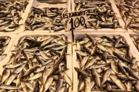 Trabzon8217da-Ramazan-Bereketi-Balik-Fiyatlari-Yuz-Guldurdu-featured