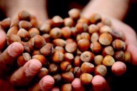 Turkiye-Findiktan-Yarim-Yilda-117-Milyar-Dolar-Kazandi-featured