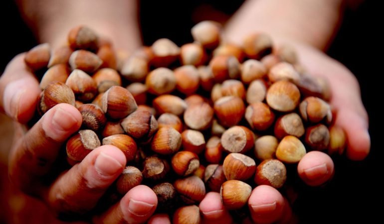 Turkiye-Findiktan-Yarim-Yilda-117-Milyar-Dolar-Kazandi-featured