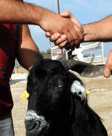 2026-Kurban-Bayrami-Tarihleri-Belli-Oldu-Geri-Sayim-Basladi-featured