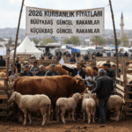 2026-Kurbanlik-Fiyatlari-Buyukbas-ve-Kucukbas-Guncel-Rakimlar-gemini