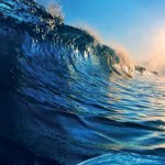 5-milyon-kilometrekarelik-‘nefes-alani-featured