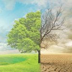 Arastirma-Iklim-krizinde-bireysel-aksiyon-alma-istegi-azaliyor-featured