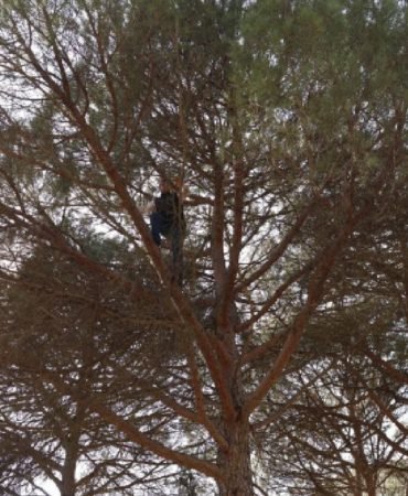 Aydin8217da-Cam-Fistigi-Hasadi-Gunluk-3-Bin-500-TL-Kazanc-featured