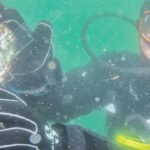 Bebek-pinalar-midye-halatlarinda-cogaliyor-featured