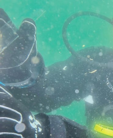 Bebek-pinalar-midye-halatlarinda-cogaliyor-featured