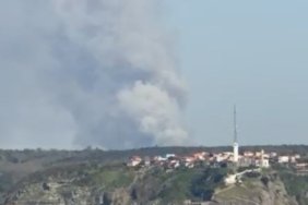 Beykoz039da-orman-yangini-Istanbul-Valiligi-Yangin-kontrol-altina-alindi-featured