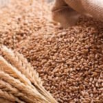 Bugday-fiyatlarinda-ralli-featured