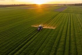 Tractor Fertilizing Verdant Agricultural Field During Golden Sunset
