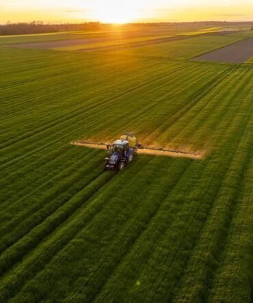 Tractor Fertilizing Verdant Agricultural Field During Golden Sunset