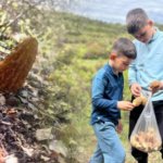 Daglara-akin-ettiler-Kilosu-2-bin-lirayi-bulan-mantar-icin-yaris-basladi-featured