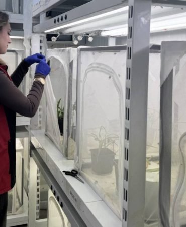 Findik-Zararlisiyla-Savas-40-Ilde-Ari-Operasyonu-featured