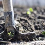 Gubrede-kritik-adim-2-cesitte-gumruk-vergisi-sifirlandi-featured