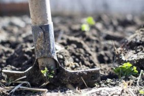 Gubrede-kritik-adim-2-cesitte-gumruk-vergisi-sifirlandi-featured