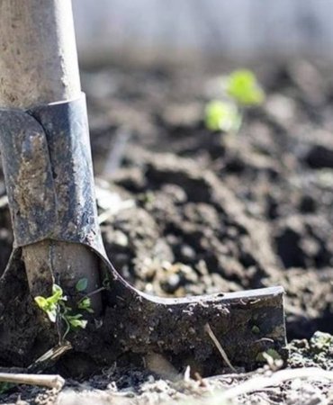 Gubrede-kritik-adim-2-cesitte-gumruk-vergisi-sifirlandi-featured