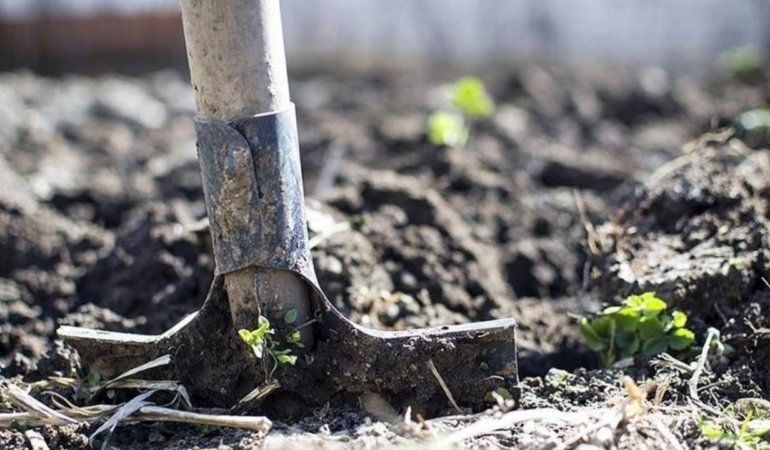 Gubrede-kritik-adim-2-cesitte-gumruk-vergisi-sifirlandi-featured