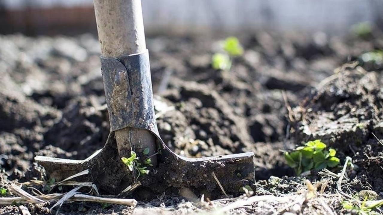 Gubrede-kritik-adim-2-cesitte-gumruk-vergisi-sifirlandi-featured